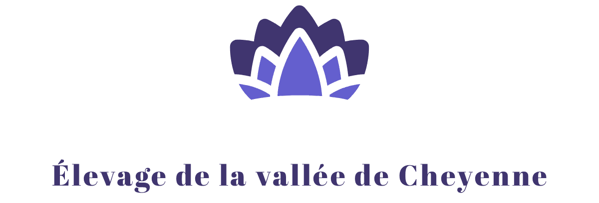 Élevage de la vallée de Cheyenne